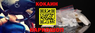 индика Можга
