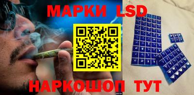индика Можга