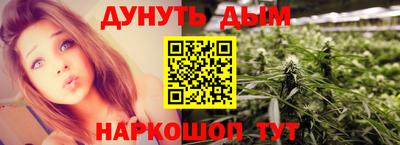 индика Можга