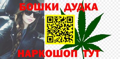индика Можга