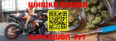 индика Можга
