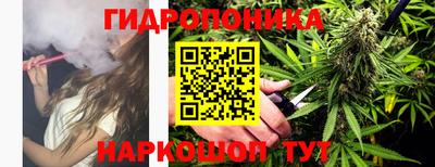 сатива Моздок