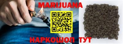 сатива Моздок